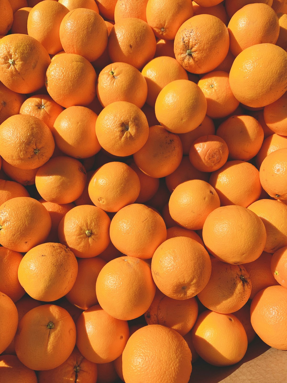 Modesto Certified Farmers Market in Modesto — Citrus and fruit at a market stall